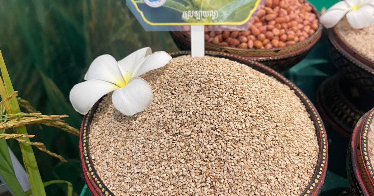 ក្នុងរយៈពេល ៦ខែនៃឆ្នាំ២០២៥ កម្ពុជា ទទួលបានចំណូល ២៨៣.៤១លានដុល្លារ ពីការនាំចេញអង្ករទៅកាន់ទីផ្សារអន្តរជាតិ